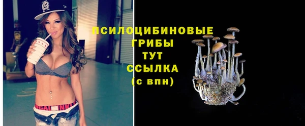 2c-b Беломорск