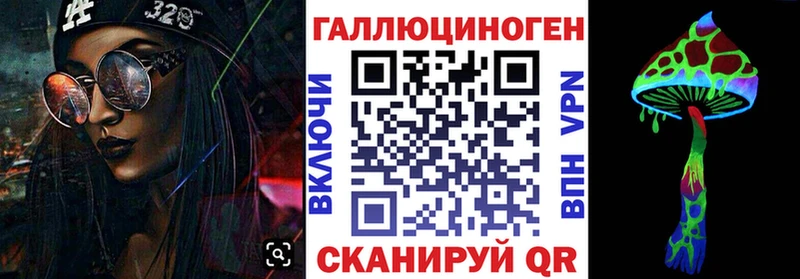Купить  Апшеронск  Галлюциногенные грибы Psilocybe 